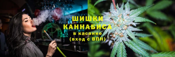 шишки Вязьма