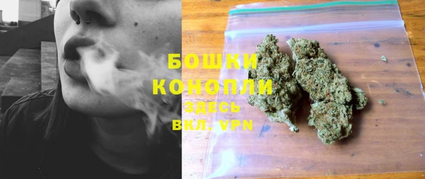 винт Вяземский
