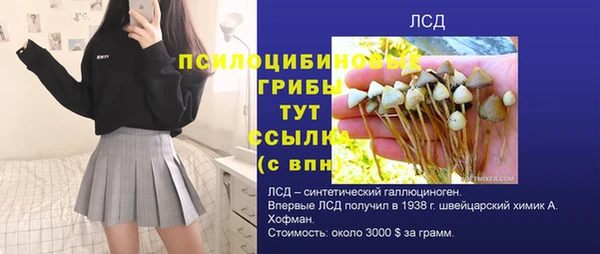 винт Вяземский