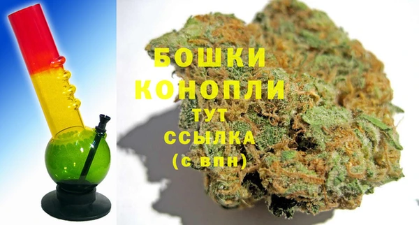 шишки Вязьма